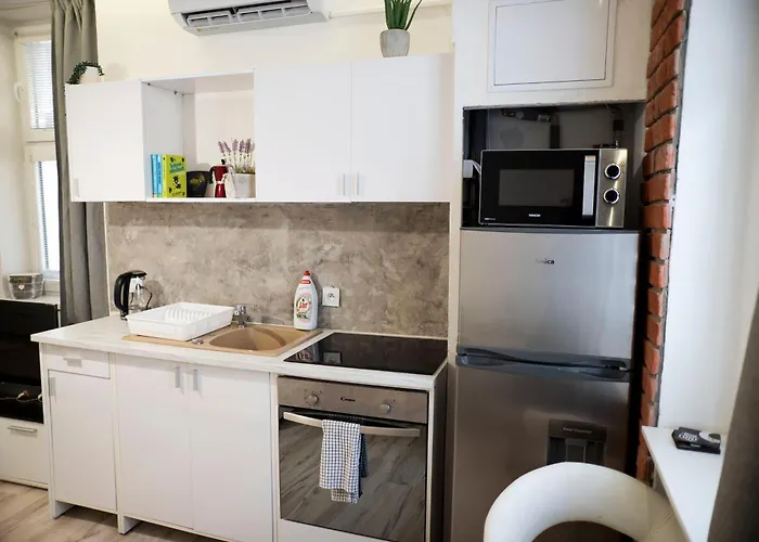 Stylish Place Near President Palace ブラチスラヴァ